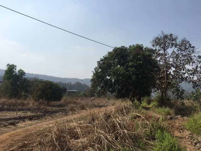 Agricultural Land 2 Acre for Sale in Kolad, Raigad