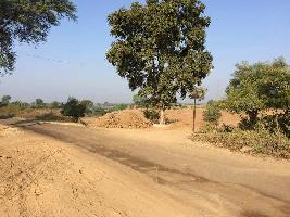  Agricultural Land for Sale in Shahpura, Jabalpur