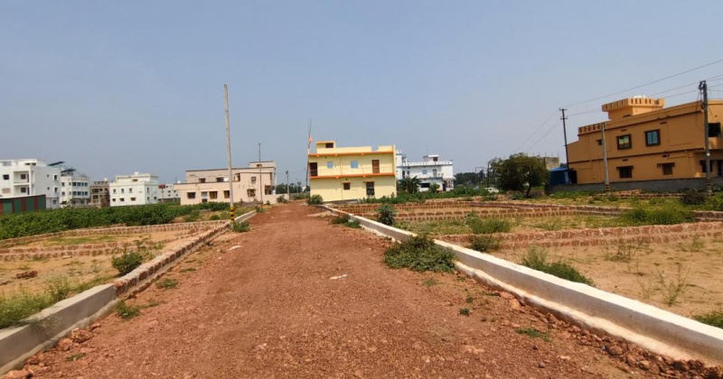Balikuda, Cuttack photo 3