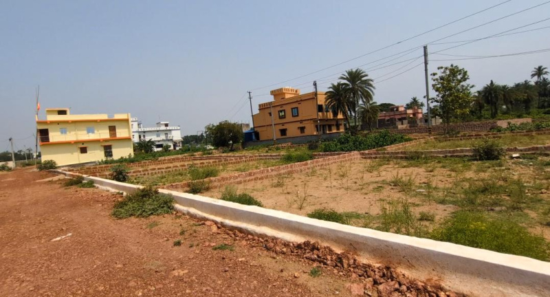 Balikuda, Cuttack photo 4