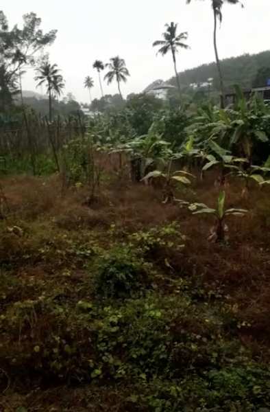 Agricultural Land 70 Cent for Sale in Punalur, Kollam