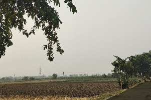  Agricultural Land for Sale in Pehowa, Kurukshetra