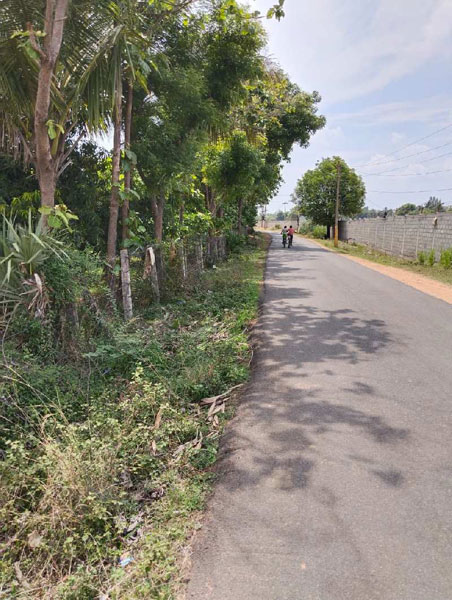 Commercial Land for Sale in Sriperumbudur, Chennai