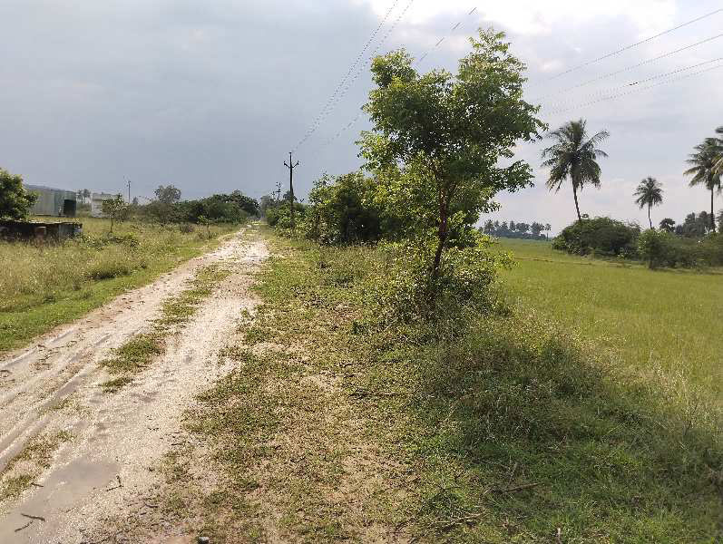 Farm Land for Sale in Chengalpattu, Chennai (REI1085749)