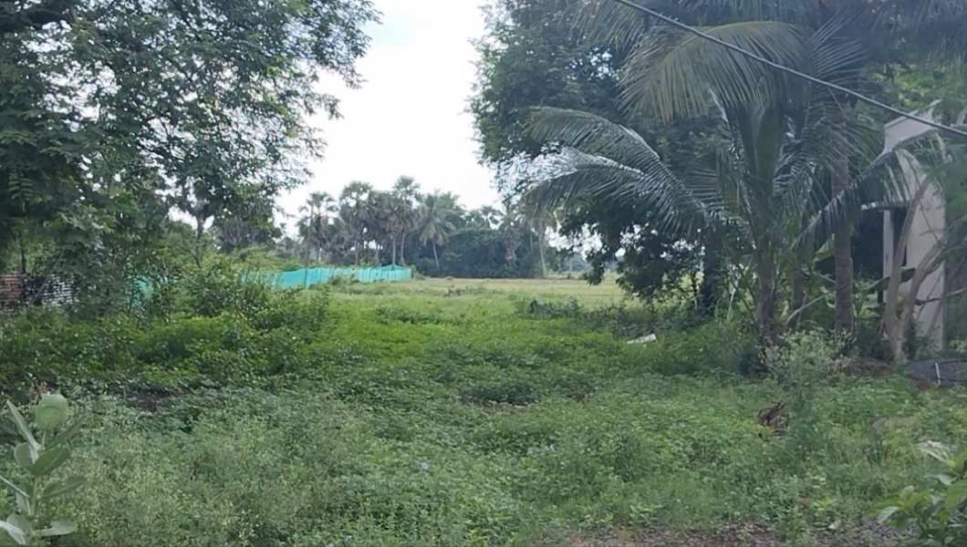 Farm Land for Sale in Chengalpattu, Kanchipuram (REI1087471)