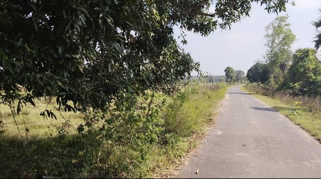 Farm Land for Sale in Acharapakkam, Chengalpattu, Chennai (REI1111956)