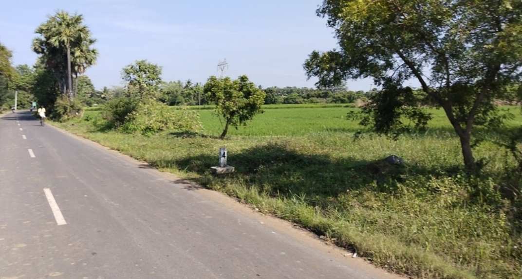 Farm Land for Sale in Chengalpattu, Chennai (REI1112403)