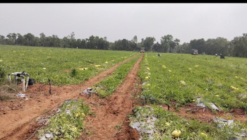  Agricultural Land for Sale in Madurantakam, Chennai