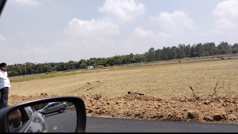 Agricultural Land 70 Cent for Sale in