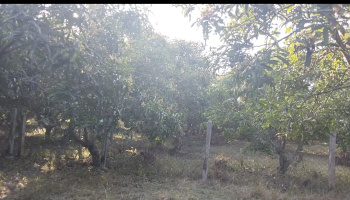  Agricultural Land for Sale in Kalpakkam, Kanchipuram
