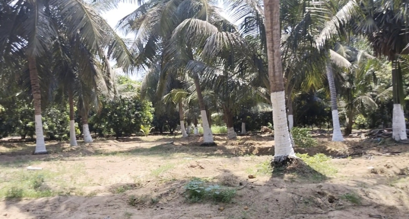 Agricultural Land 3 Acre for Sale in Panayur, Chennai