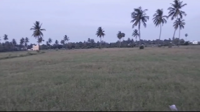 Agricultural Land 11 Acre for Sale in Cheyyar, Kanchipuram