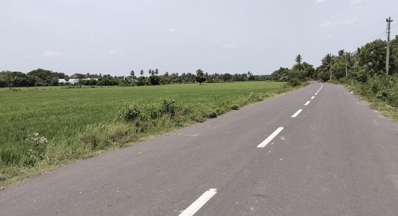 Agricultural Land 2 Acre for Sale in Thirukalukundram, Kanchipuram