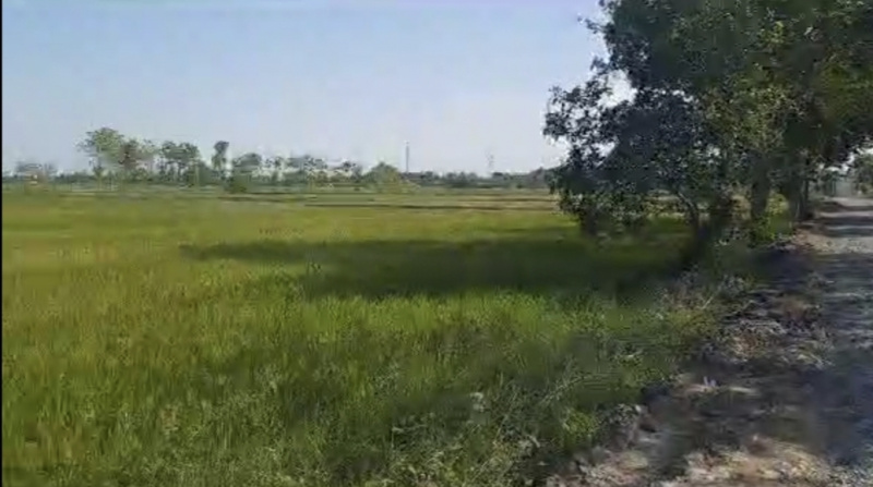 Agricultural Land 50 Acre for Sale in Madurantakam, Chennai