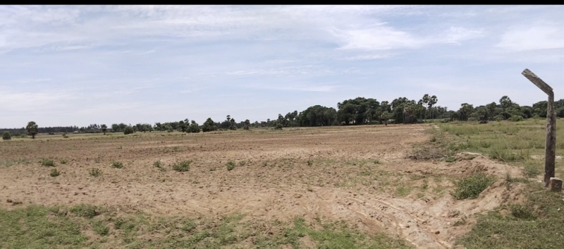  Agricultural Land 18 Acre for Sale in Madurantakam, Chennai