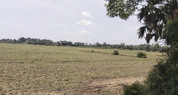  Agricultural Land for Sale in Mahabalipuram, Chennai