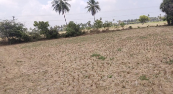  Agricultural Land for Sale in Tiruvenkadam Nagar, Ambattur, Chennai