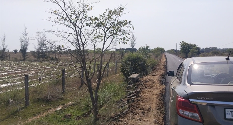  Agricultural Land 3 Acre for Sale in Madurantakam, Chennai