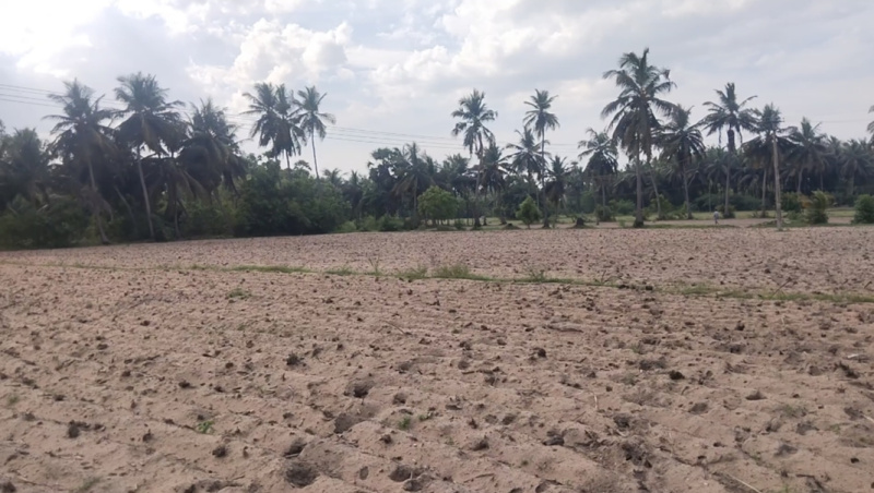  Agricultural Land 2 Acre for Sale in KK Road, Villupuram