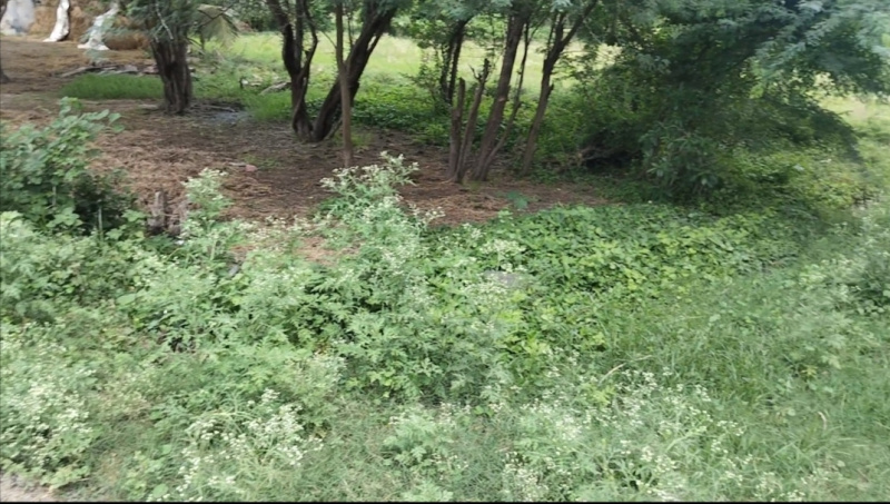  Residential Plot 10 Cent for Sale in Kuvathur, Kanchipuram