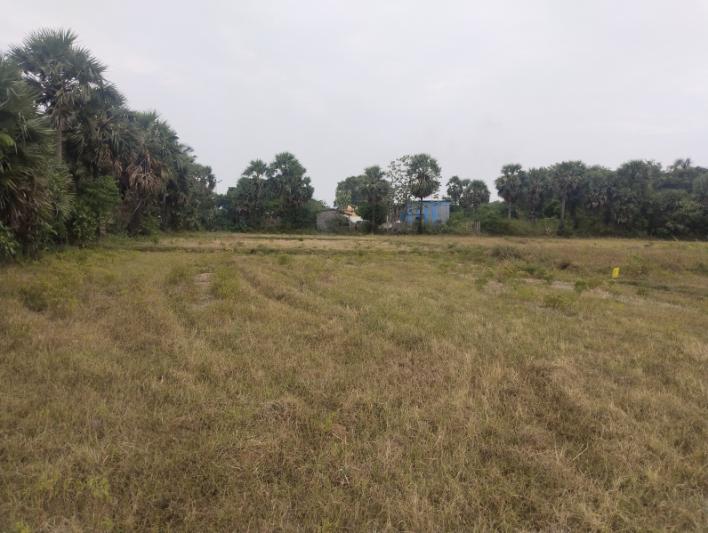  Agricultural Land 1 Acre for Sale in Kuvathur, Kanchipuram