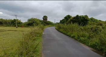  Agricultural Land for Sale in Nenmeli, Chengalpattu