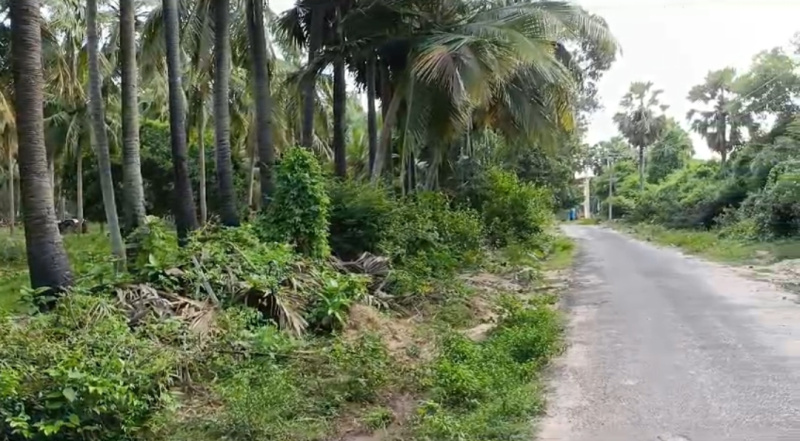  Agricultural Land 50 Cent for Sale in Kuvathur, Kanchipuram