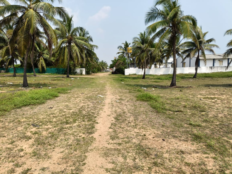  Residential Plot 12000 Sq.ft. for Sale in Kuvathur, Kanchipuram