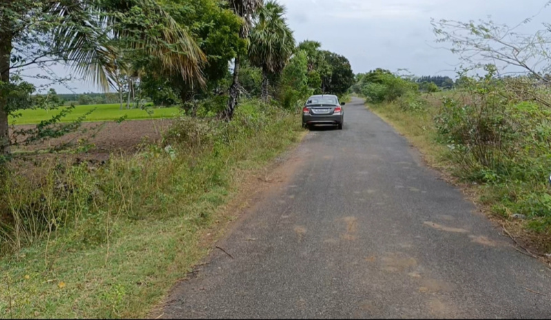  Agricultural Land 2 Acre for Rent in Acharapakkam, Chengalpattu