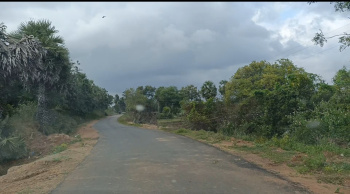  Agricultural Land for Sale in Acharapakkam, Chengalpattu