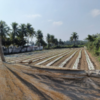  Commercial Land for Sale in Pudupattinam, Chengalpattu