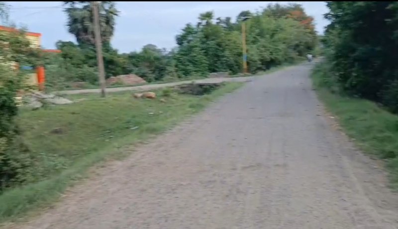  Agricultural Land 10 Acre for Sale in Maduranthakam, Chengalpattu