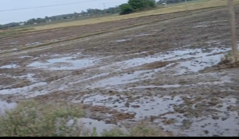  Agricultural Land 2 Acre for Sale in Maduranthakam, Chengalpattu