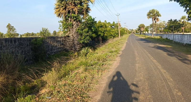  Residential Plot 11000 Sq.ft. for Sale in Acharapakkam, Chengalpattu
