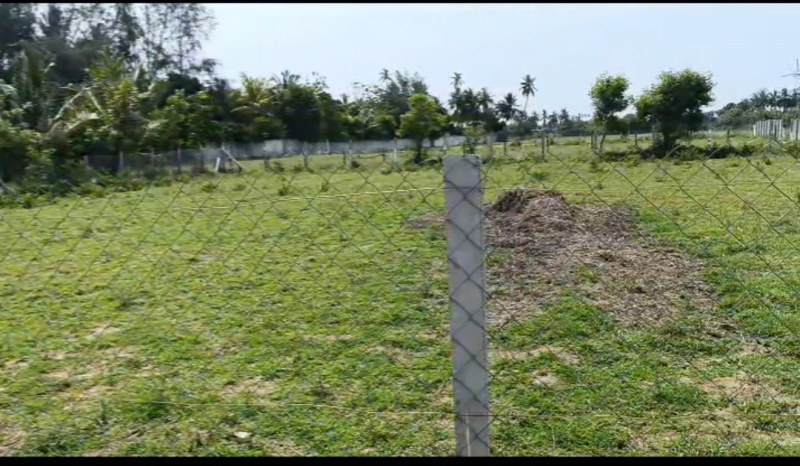  Residential Plot 11900 Sq.ft. for Sale in Anupuram, Chengalpattu