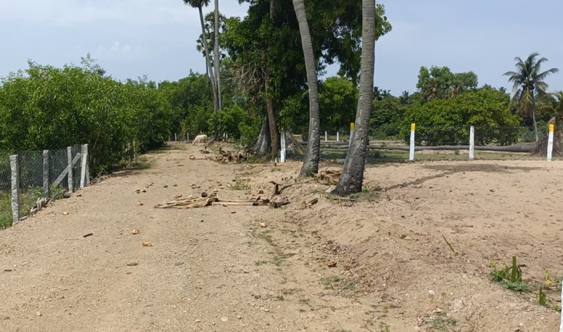  Residential Plot 22 Cent for Sale in Cheyyur, Chengalpattu