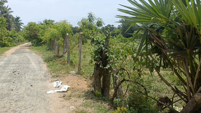  Residential Plot 2 Acre for Sale in Cheyyur, Chengalpattu