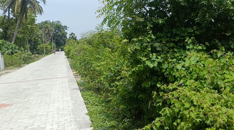  Residential Plot 2 Acre for Sale in Cheyyur, Chengalpattu