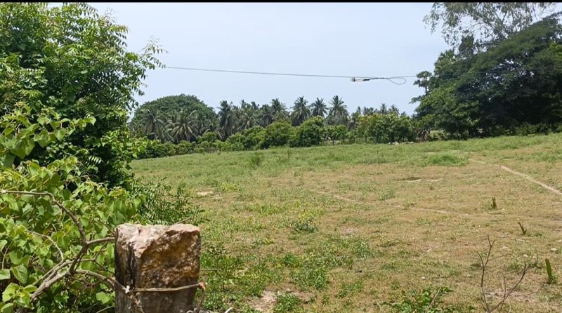  Residential Plot 2 Acre for Sale in Cheyyur, Chengalpattu