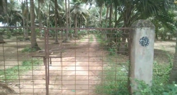  Agricultural Land for Sale in Marakkanam, Villupuram