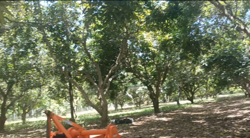  Agricultural Land 25 Acre for Sale in Cheyyur, Chengalpattu