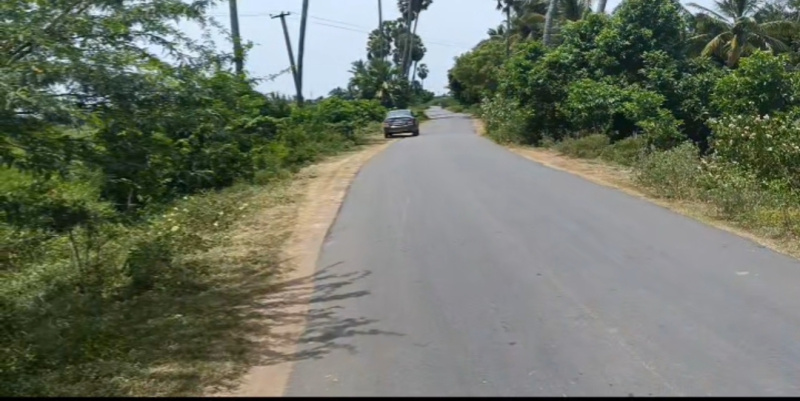  Agricultural Land 21 Cent for Sale in Alapakkam, Chengalpattu