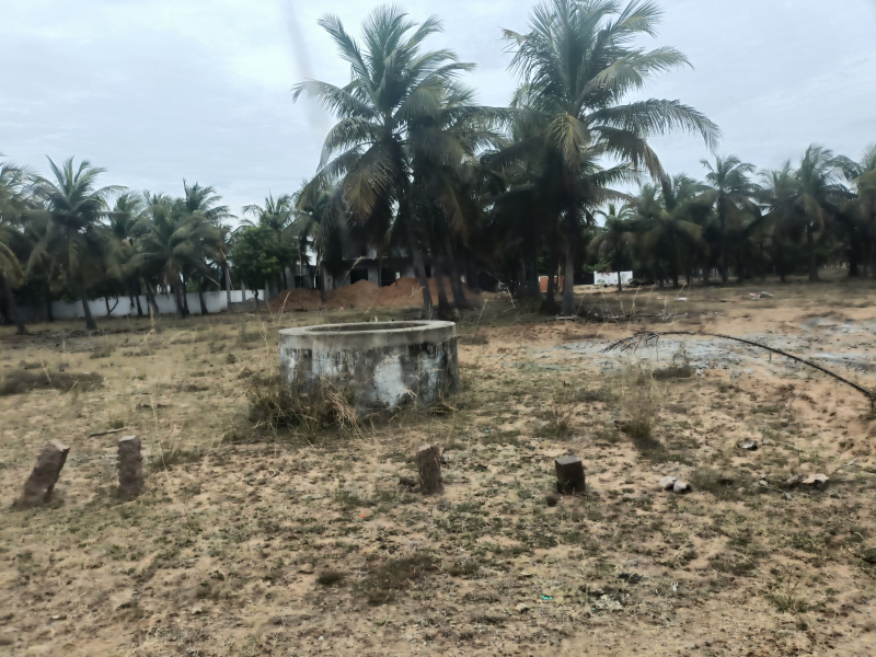  Residential Plot 27 Cent for Sale in Cheyyur, Chengalpattu