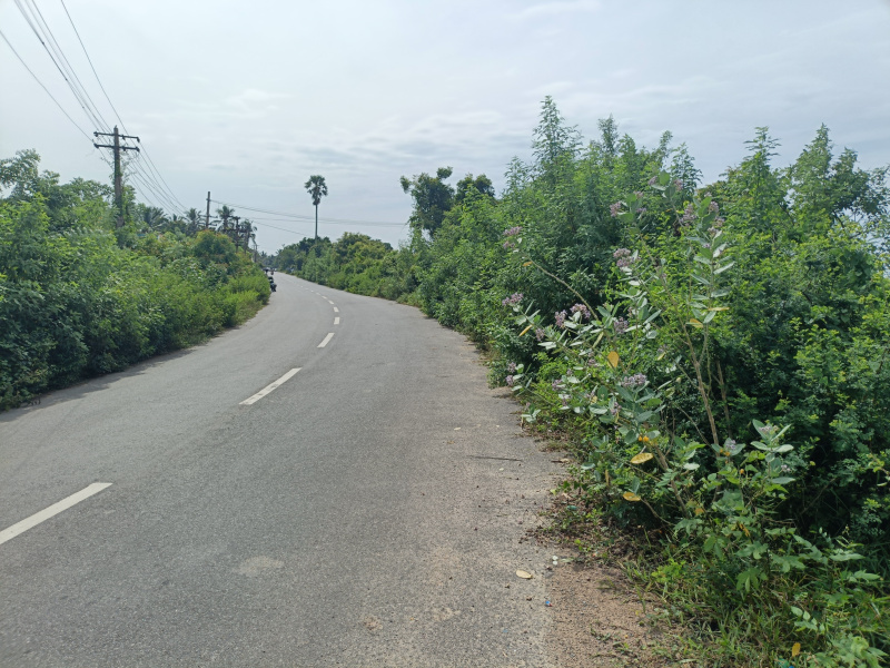  57 Cent Agricultural/Farm Land for Sale in Alapakkam, Chengalpattu