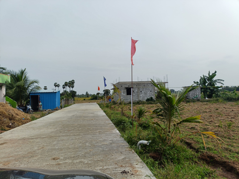  Agricultural Land 50 Cent for Sale in Cheyyur, Chengalpattu
