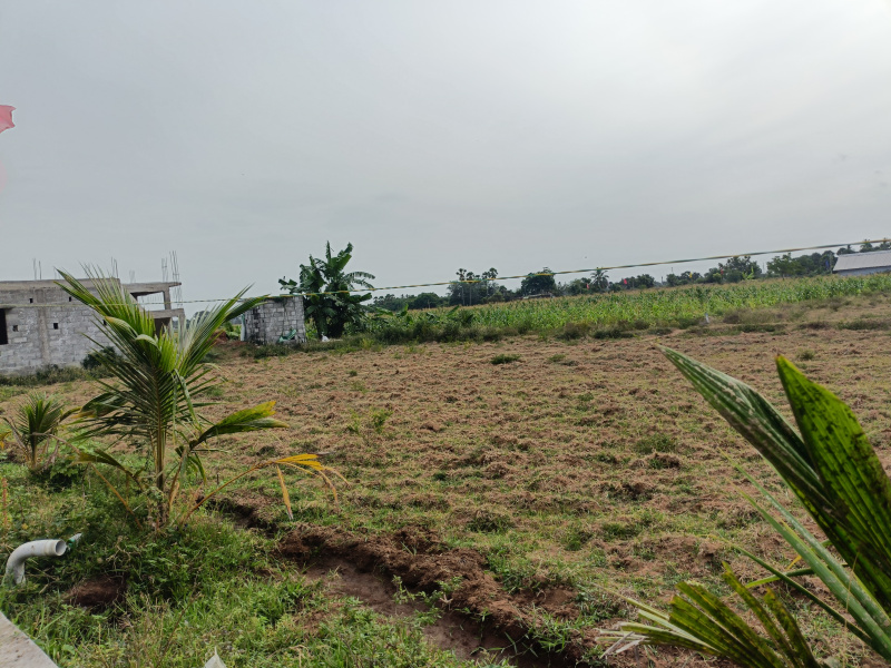  Agricultural Land 50 Cent for Sale in Cheyyur, Chengalpattu