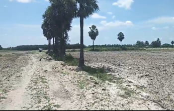  Agricultural Land for Sale in Acharapakkam, Chengalpattu