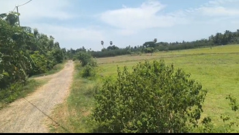  Agricultural Land for Sale in Acharapakkam, Chengalpattu