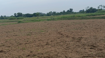  Agricultural Land for Sale in Acharapakkam, Chengalpattu