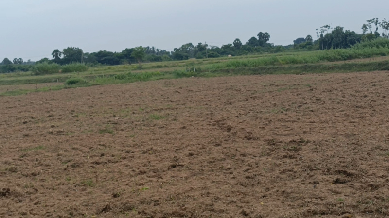  3 Acre Agricultural/Farm Land for Sale in Acharapakkam, Chengalpattu